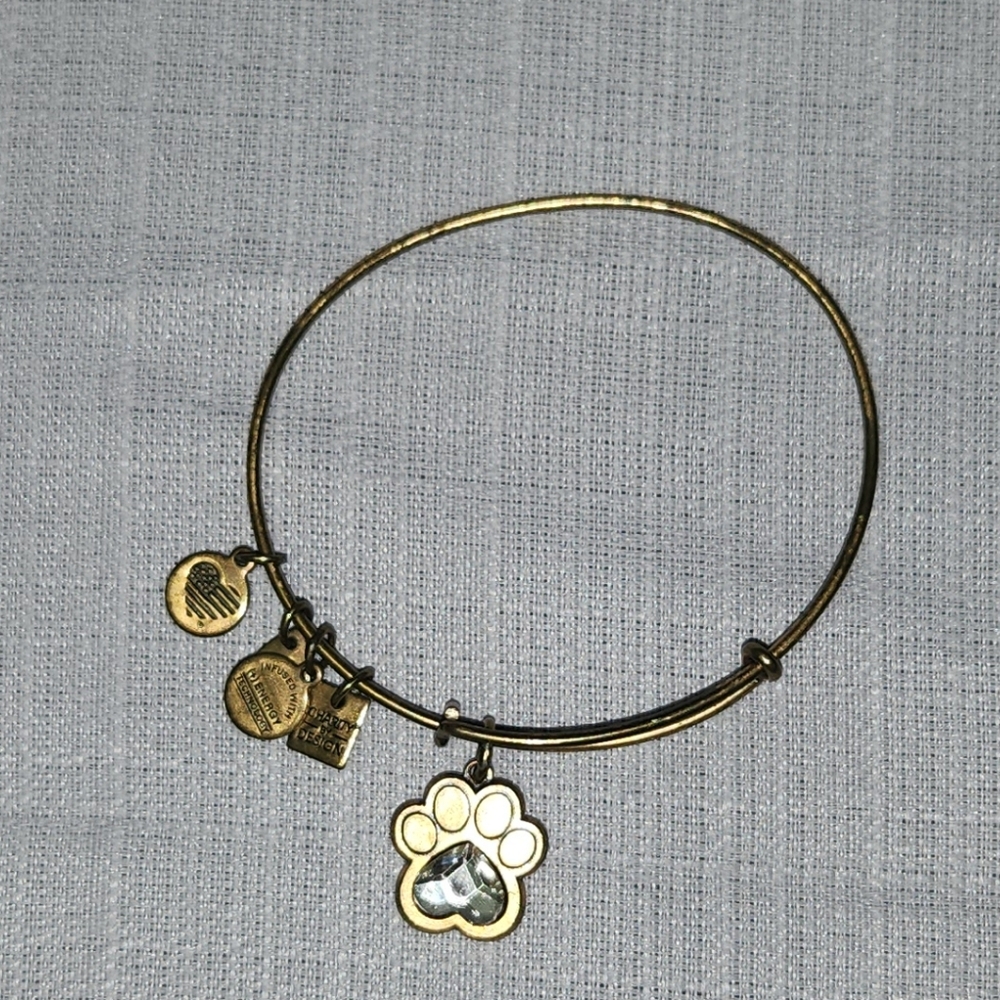 Paw Print Alex And Ani